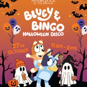 Mini Disco with Bluey and Friends