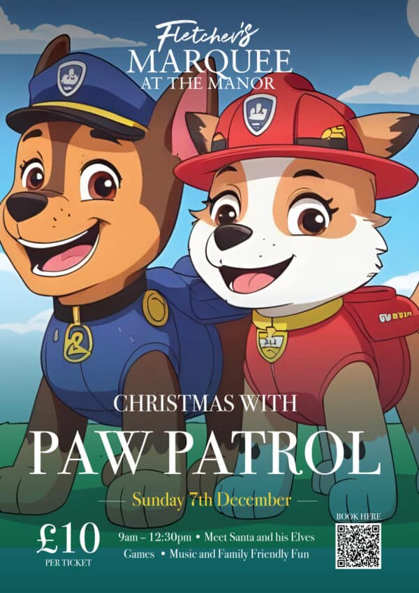 Kids Christmas party with Paw Patrol