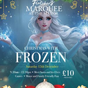 Kids Christmas party with Frozen