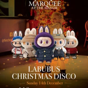 Kids Christmas Disco With Labubu's