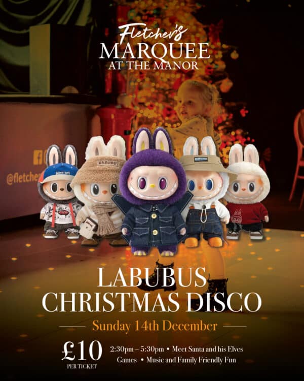Kids Christmas Disco With Labubu's