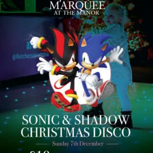 Kids Christmas Disco With Sonic and Shadow